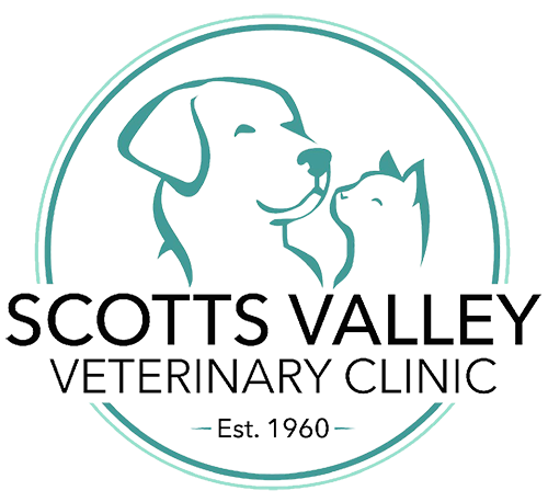 Scotts Valley Veterinary Clinic Logo Image