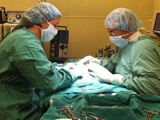 a group of surgeons performing surgery