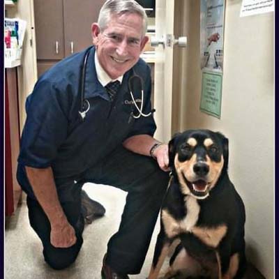 a person with stethoscope and a dog